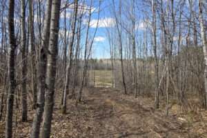 Land for sale near Tomahawk, WI just minutes from Lake Nokomis.
