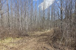 Lake Nokomis area land for sale near Tomahawk, WI in Oneida County