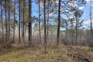 Lake Nokomis area land for sale near Tomahawk, WI in Oneida County