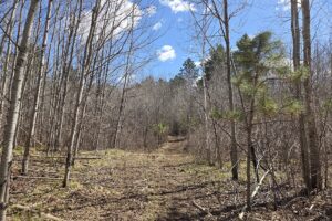 Lake Nokomis area land for sale near Tomahawk, WI in Oneida County