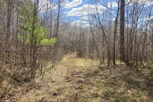 Lake Nokomis area land for sale near Tomahawk, WI in Oneida County
