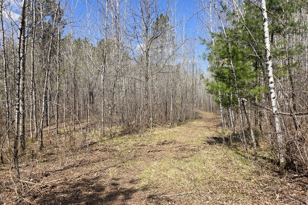 Lake Nokomis area land for sale near Tomahawk, WI in Oneida County