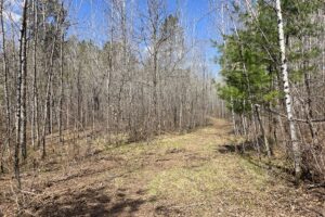 Lake Nokomis area land for sale near Tomahawk, WI in Oneida County