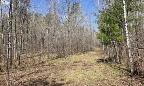 Lake Nokomis area land for sale near Tomahawk, WI in Oneida County