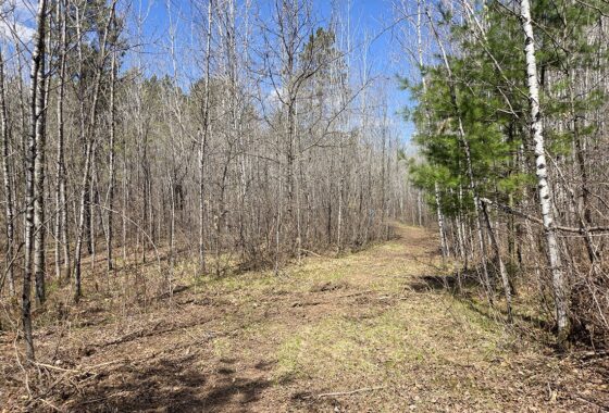 Lake Nokomis area land for sale near Tomahawk, WI in Oneida County