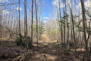 Lake Nokomis area land for sale near Tomahawk, WI in Oneida County