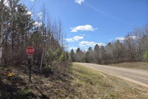 Buildable land for sale in Northern Wisconsin near Tomahawk