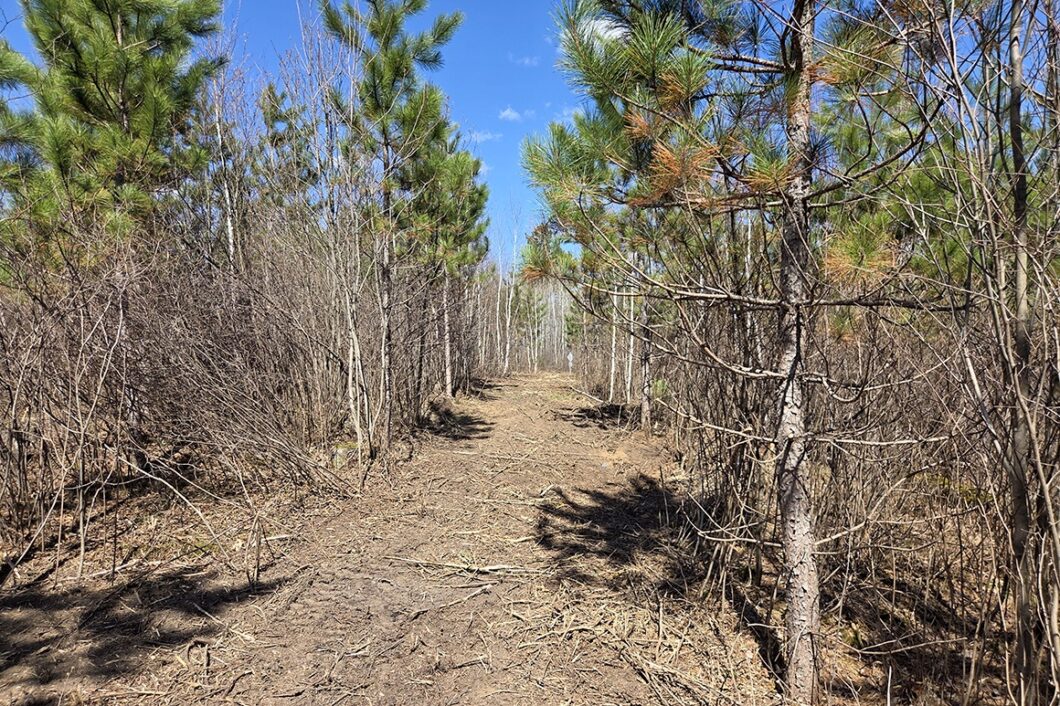 Buildable land for sale in Northern Wisconsin near Tomahawk