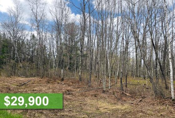 2 Acres of Secluded Buildable Land For Sale in Washburn County!
