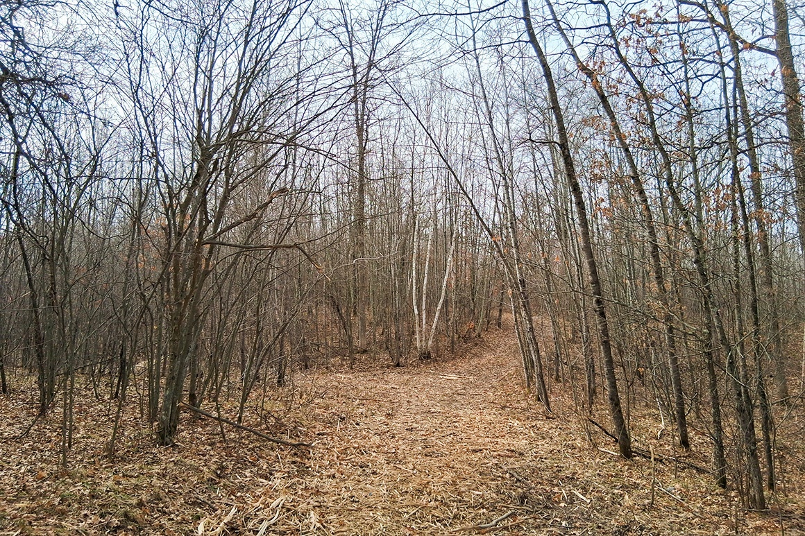 Northwest WI Acreage Near Namekagon River! 21% OFF, SAVE $8K!