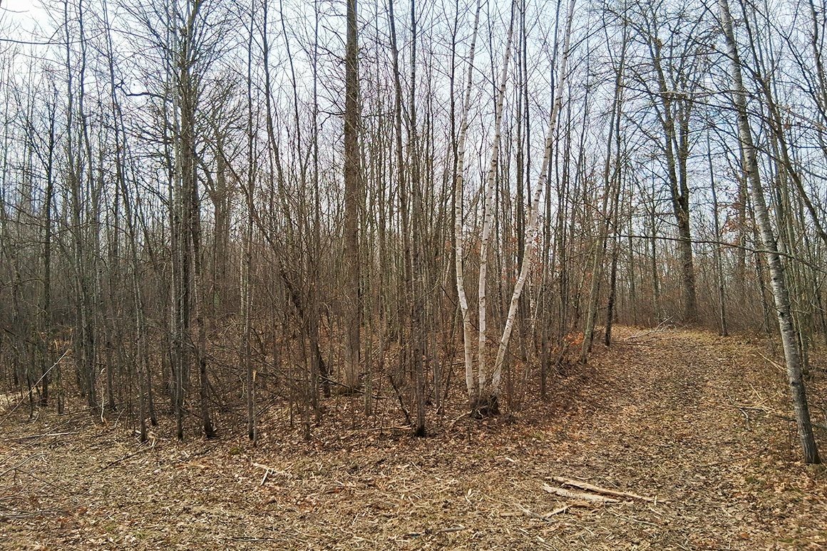 Northwest WI Acreage Near Namekagon River! 21% OFF, SAVE $8K!