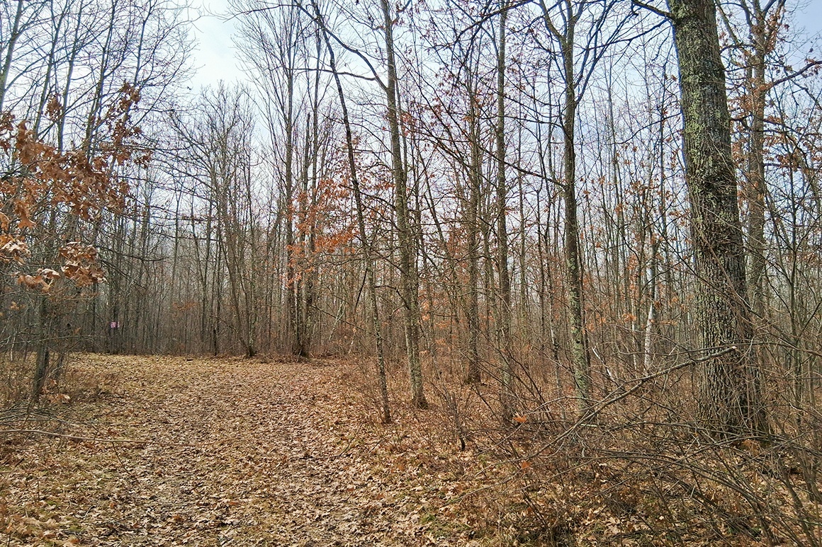 Northwest WI Acreage Near Namekagon River! 21% OFF, SAVE $8K!