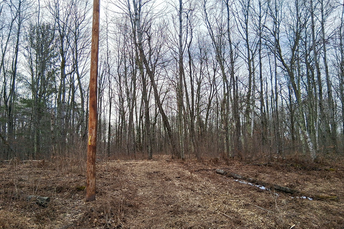 2 Acres Near Trego and Spooner, WI!