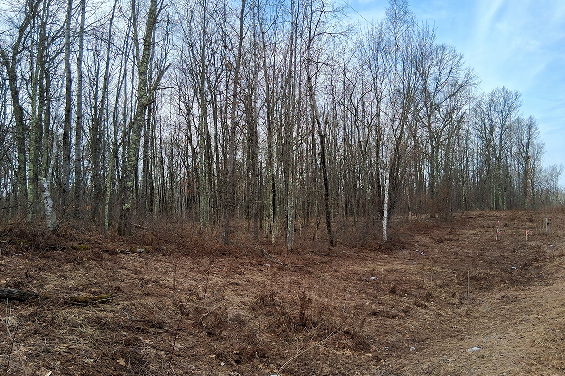 2 Acres Near Trego and Spooner, WI!