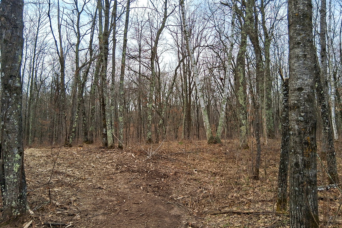 2 Acres Near Trego and Spooner, WI!