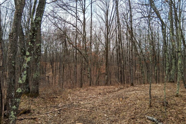 2 Acres Near Trego and Spooner, WI!
