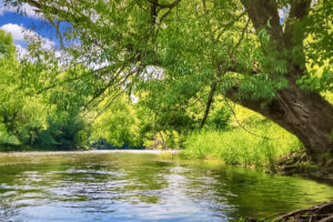 2+ surveyed and build-ready acres for sale with 211 ft of private frontage on the Apple River just north of New Richmond, WI in St. Croix County.