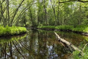 10 Acres near Tomahawk, WI – Lincoln County