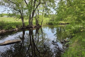 Waterfront land with cabin for sale on Somo River in Lincoln County WI