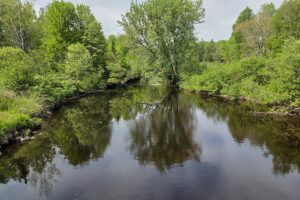 Waterfront land with cabin for sale on Somo River in Lincoln County WI