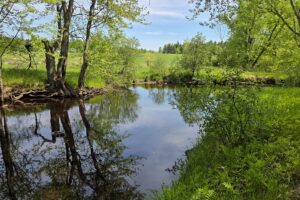 Waterfront land with cabin for sale on Somo River in Lincoln County WI
