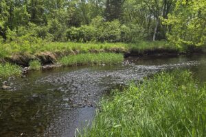 Waterfront land with cabin for sale on Somo River in Lincoln County WI