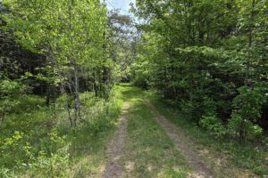 Waterfront land with cabin for sale on Somo River in Lincoln County WI
