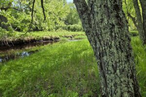 Waterfront property for sale along Somo River near Tomahawk, WI