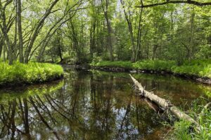 Waterfront property for sale along Somo River near Tomahawk, WI