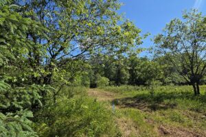 Wooded land for sale with frontage on Somo River in Northern Wisconsin.