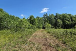 Wooded land for sale with frontage on Somo River in Northern Wisconsin.