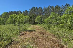 Wooded land for sale with frontage on Somo River in Northern Wisconsin.