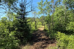 Wooded land for sale with frontage on Somo River in Northern Wisconsin.