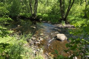 Wooded land for sale with frontage on Somo River in Northern Wisconsin.