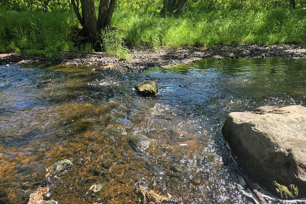 Wooded land for sale with frontage on Somo River in Northern Wisconsin.
