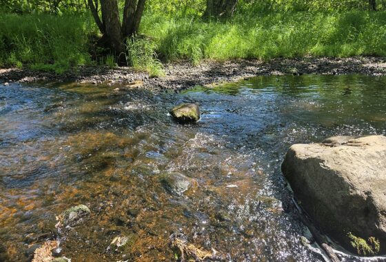 Wooded land for sale with frontage on Somo River in Northern Wisconsin.