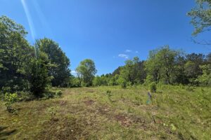 Secluded land for sale along the Somo River near Tripoli and Tomahawk, WI