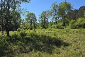 Secluded land for sale along the Somo River near Tripoli and Tomahawk, WI