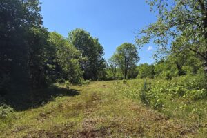 Secluded land for sale along the Somo River near Tripoli and Tomahawk, WI