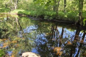 Secluded land for sale along the Somo River near Tripoli and Tomahawk, WI