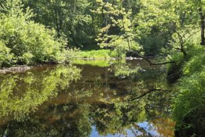 Secluded land for sale along the Somo River near Tripoli and Tomahawk, WI