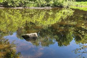 Secluded land for sale along the Somo River near Tripoli and Tomahawk, WI