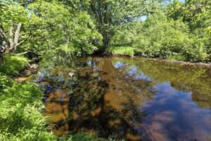 Secluded land for sale along the Somo River near Tripoli and Tomahawk, WI