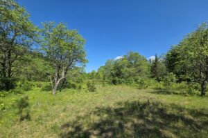 Secluded land for sale along the Somo River near Tripoli and Tomahawk, WI
