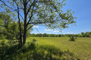Secluded land for sale along the Somo River near Tripoli and Tomahawk, WI